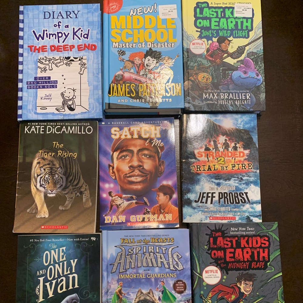 Chapter books